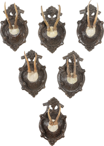 BLACK FOREST ROE DEER TROPHY MOUNTS SET OF SIX - Fagan Arms