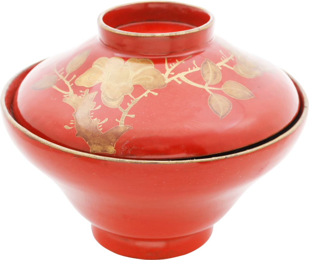 JAPANESE LACQUER BOWL AND COVER 19TH CENTURY - Fagan Arms