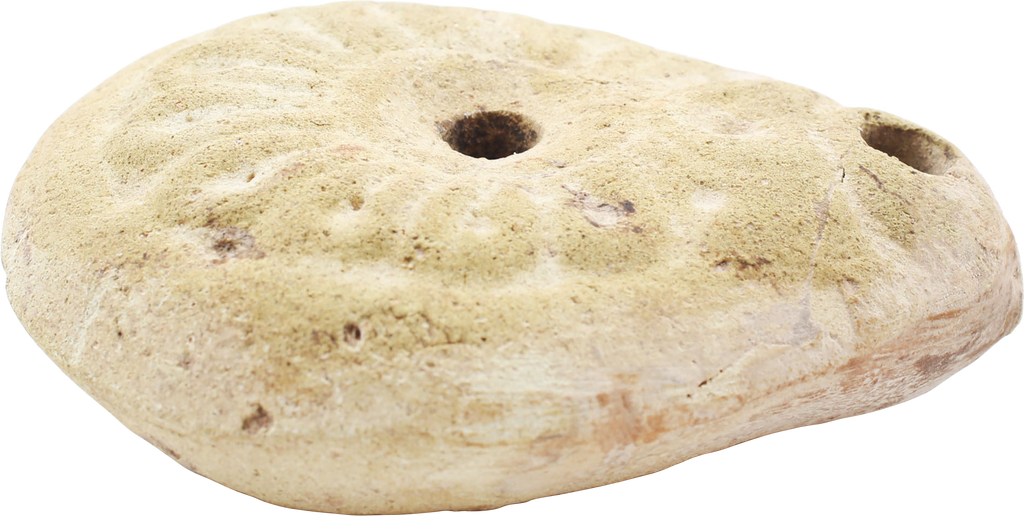 EGYPTIAN FROG OIL LAMP 2ND-4TH CENTURY AD - Fagan Arms