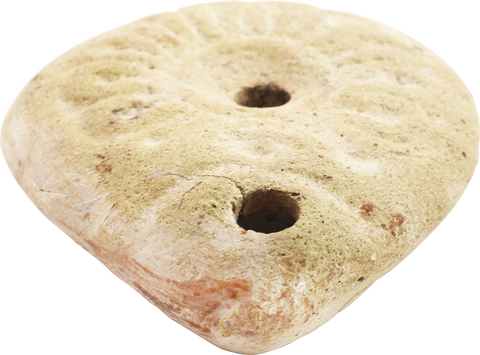 EGYPTIAN FROG OIL LAMP 2ND-4TH CENTURY AD - Fagan Arms