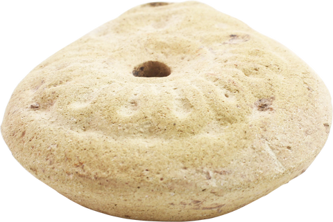 EGYPTIAN FROG OIL LAMP 2ND-4TH CENTURY AD - Fagan Arms