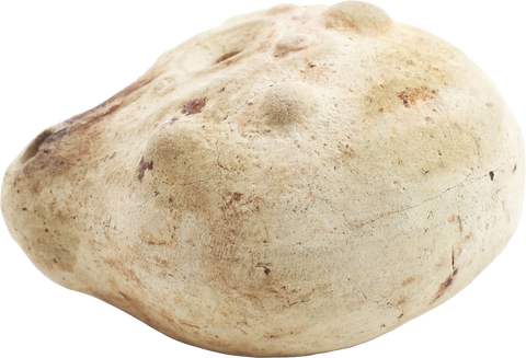 ANCIENT EGYPTIAN FROG LAMP 2ND-4TH CENTURY AD - Fagan Arms