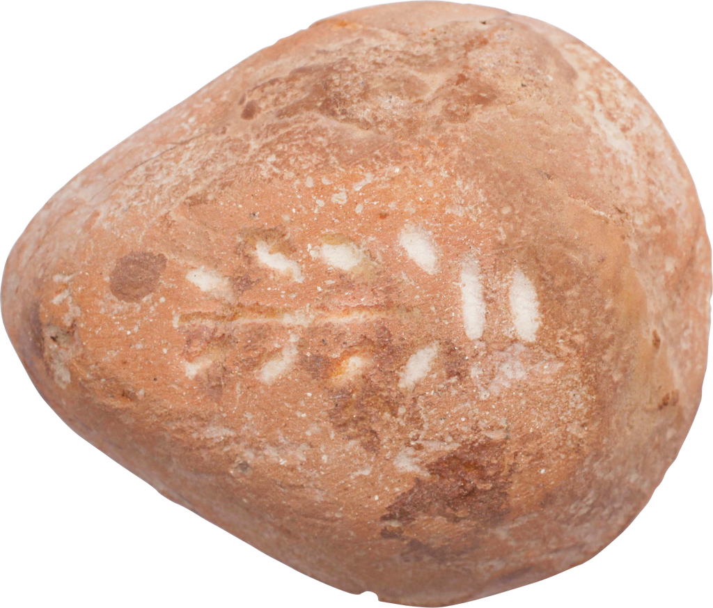 EGYPTIAN FROG FORM OIL LAMP C.30BC-200 AD - Fagan Arms