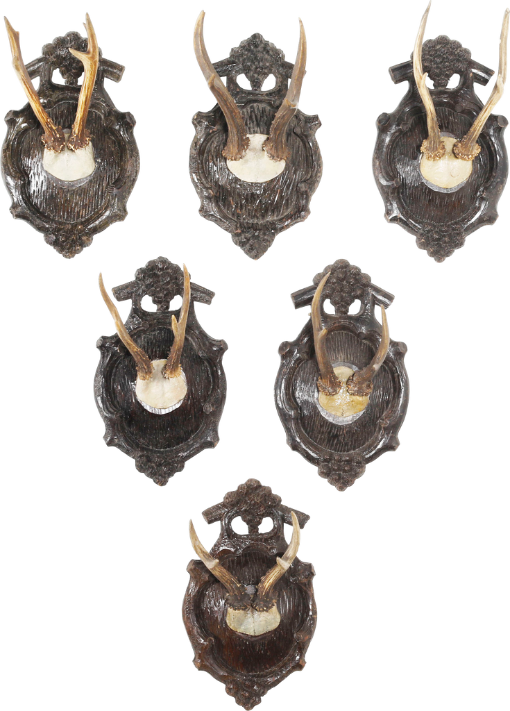 BLACK FOREST ROE DEER TROPHY MOUNTS SET OF SIX C.1880’S - Fagan Arms