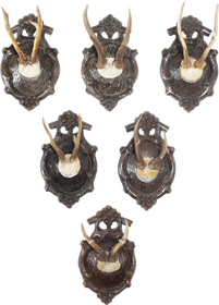 BLACK FOREST ROE DEER TROPHY MOUNTS SET OF SIX C.1880’S - Fagan Arms
