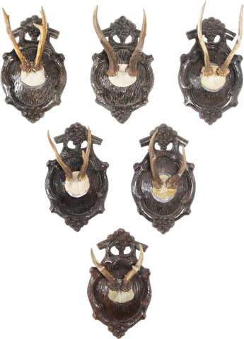BLACK FOREST ROE DEER TROPHY MOUNTS SET OF SIX C.1880’S - Fagan Arms