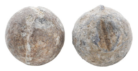 REVOLUTIONARY WAR BUCK & BALL SHOT - Fagan Arms
