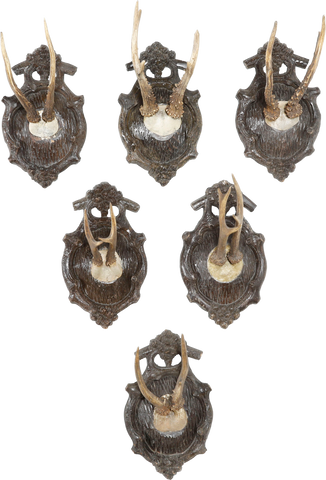 BLACK FOREST ROE DEER TROPHY MOUNTS, SET OF SIX - Fagan Arms