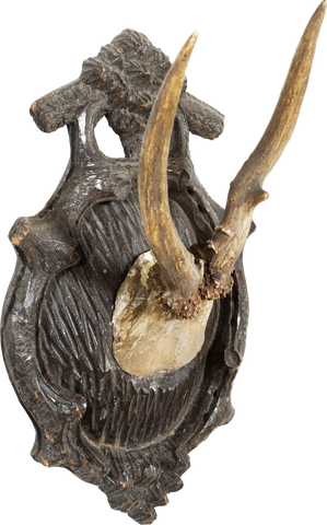 BLACK FOREST ROE DEER TROPHY MOUNTS, SET OF SIX - Fagan Arms