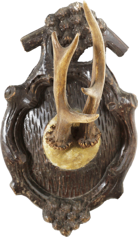 BLACK FOREST ROE DEER TROPHY MOUNTS, SET OF SIX - Fagan Arms