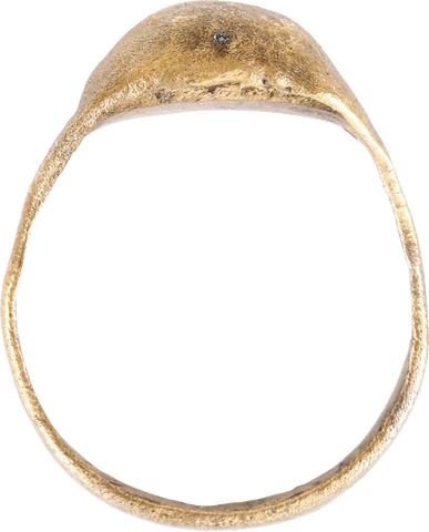 VIKING WARRIOR'S PINKY RING, SIZE 5 ¾ - Fagan Arms