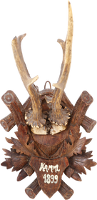 BLACK FOREST ROE DEER MOUNT, 1899 - The History Gift Store