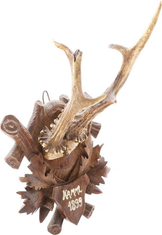 BLACK FOREST ROE DEER MOUNT, 1899 - Fagan Arms