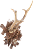 BLACK FOREST ROE DEER MOUNT, 1899 - Fagan Arms