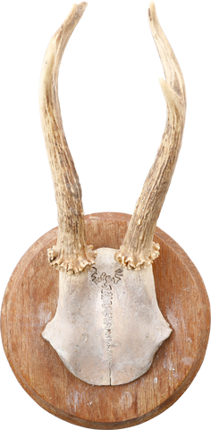 ROE DEER ANTLER MOUNT - Fagan Arms