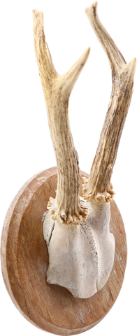 ROE DEER ANTLER MOUNT - Fagan Arms