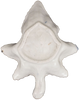 PORCELAIN PICKLE DISH C.1765 - Fagan Arms