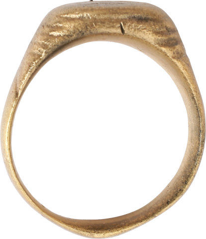 VIKING WARRIOR’S RING, 9TH-11TH CENTURY, SIZE 9 1/2 - The History Gift Store