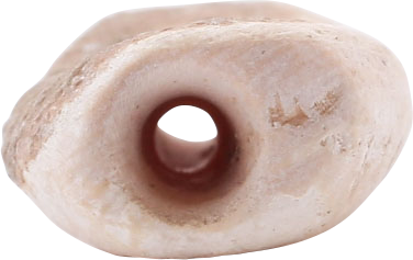 VIKING SHELL BEAD, 85-150 AD - The History Gift Store