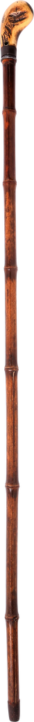 AMERICAN/EUROPEAN SWORD STICK LATE 19TH CENTURY - The 