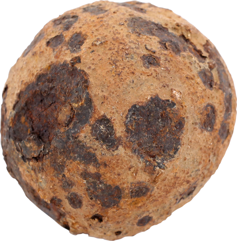 CONFEDERATE GRAPE SHOT FROM THE BATTLE OF FORT JACKSON - The History Gift Store