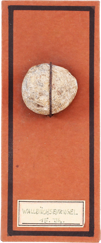 MEDIEVAL EUROPEAN SLING PROJECTILE - The History Gift Store