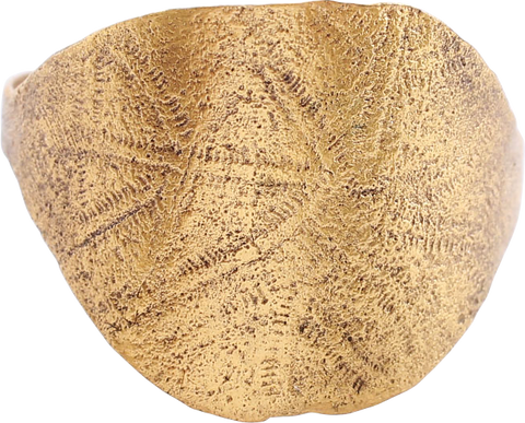 VIKING WARRIOR’S SHIELD RING, 10th-11th CENTURY, SIZE 10 1/2 - The History Gift Store