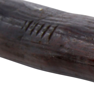 AUSTRALIAN ABORIGINAL THROWING CLUB - The History Gift Store