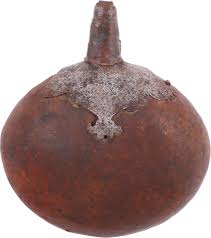 RARE ITALIAN POWDER FLASK FOR MATCHLOCK MUSKET - The History Gift Store