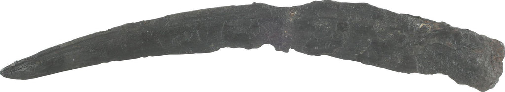 ROMAN DAGGER SICA, FIRST CENTURY AD - The History Gift Store