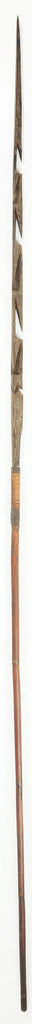FINE OLD SOLOMON ISLANDS SPEAR - The History Gift Store