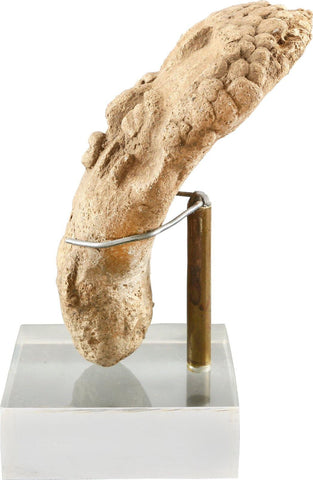 WEST AFRICAN FUNERARY HEAD - The History Gift Store