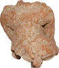 GUPTA TERRACOTTA FIGURE - The History Gift Store