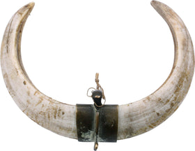 Rare Ottoman Turkish Boar Tusk Pectoral - The History Gift Store